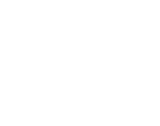 Mills Creek Animal Hospital logo - white